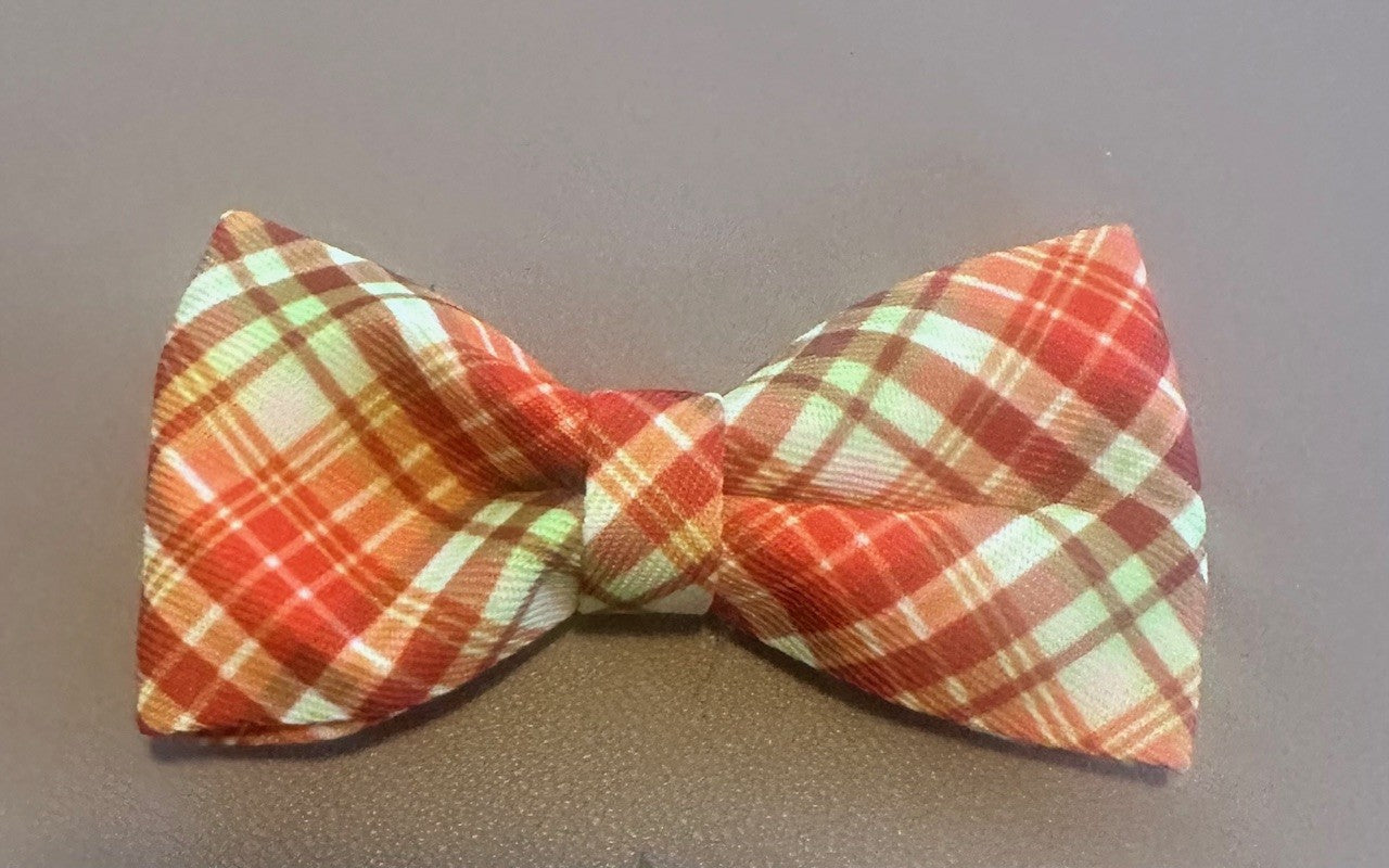 Yogi's Doggy Bowties - Que Sera Bracelets - Sing Along While Shopping Que Sera Sera...