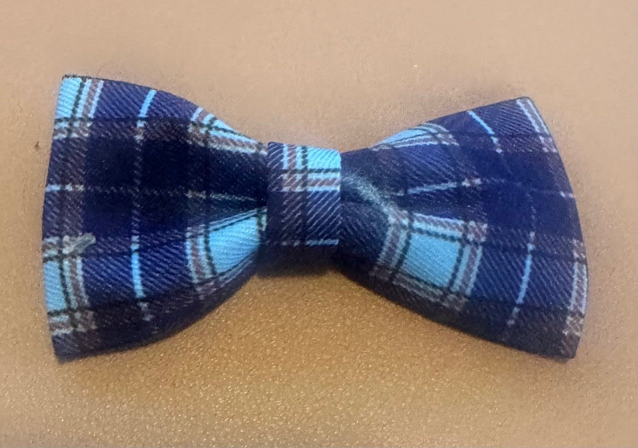 Yogi's Doggy Bowties - Que Sera Bracelets - Sing Along While Shopping Que Sera Sera...